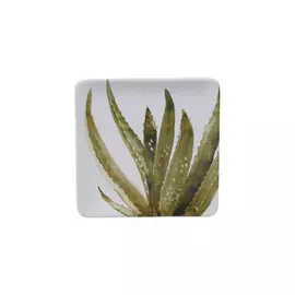 Тарелка закусочная Certified Int. "Кактусы.Алоэ" 22см