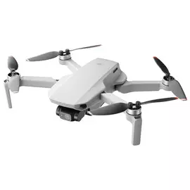 Квадрокоптер DJI Mini 2 (Белый)