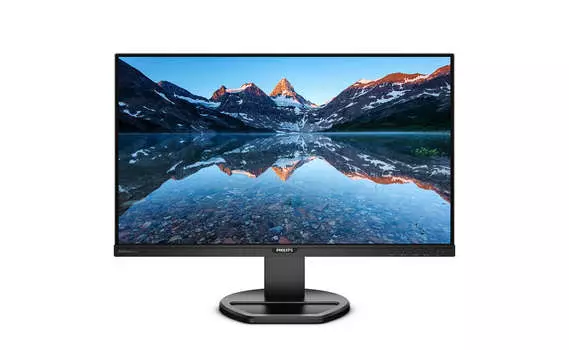 Монитор Philips 252B9 25"(RU/A) (Black)