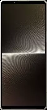 Смартфон Sony Xperia 1 V 12/512GB (Silver)