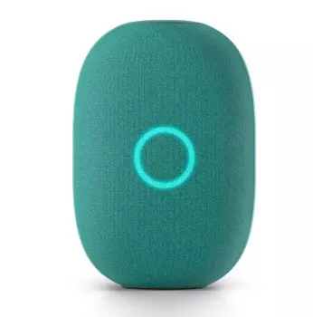 Умная колонка VK Капсула (Зеленый)