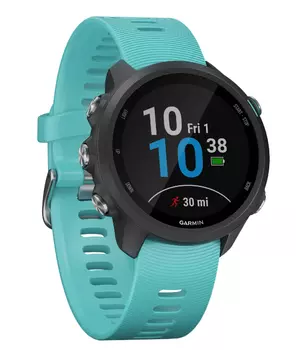 Умные часы Garmin Forerunner 245 Music (Голубой)