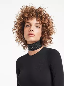 morning dew collar