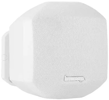 Акустическая система BIAMP MASK2-W 912.0636.900/911.0636.900 (APART) пассивная широкопол. корпусная, 2,5"НЧ-ВЧ. 125 Гц-22 кГц, 35-70 Вт / 8 Ом. IP60,