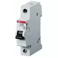 Автоматический выключатель ABB 2CCS881001R0824 S801C 1P 100A (С) 25кА (1.5 мод.)