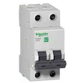 Автоматический выключатель Schneider Electric EZ9F14240 Easy9 - 2P, тип хар-ки B, 40 А, 400 В AC, 4.5кА
