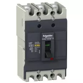 Автоматический выключатель Schneider Electric EZC100F3060