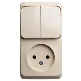 Блок Systeme Electric BPA16-205K розетка б/з + выключатель 2-клавишный крем