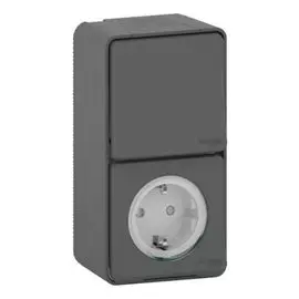 Блок Schneider Electric MUR36024 розетка+переключатель, IP55 антрацит