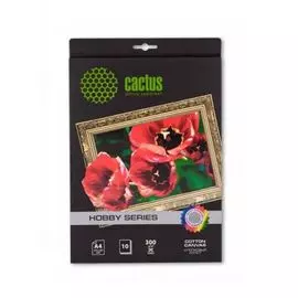 Бумага Cactus CS-CA426010 A4/300г/м2/10л. для струйной печати, хост