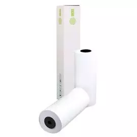 Бумага Cactus CS-LFP80-297457 12" 297мм-45.7м/80г/м2/белый CIE171% втулка:50.8мм (2") (упак.:2рул)