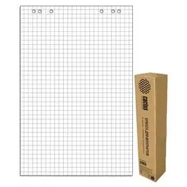 Бумага Cactus CS-PFC20S-5 для флипчартов 67.5х98см клетка 20л (упак.:5шт)
