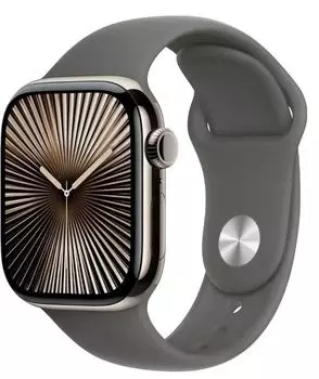 Часы Apple Watch Series 10 GPS + Cellular 42mm MWXE3 Natural Titanium Case with Stone Grey Sport Band - M/L