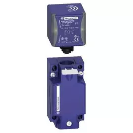 Датчик Schneider Electric XS8C4A1PCG13