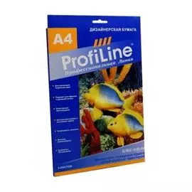 Фотобумага ProfiLine PL_MgGP_640_A4_5 магнитная глянцевая, 640г/м2, А4, 5л, 4800 dpi