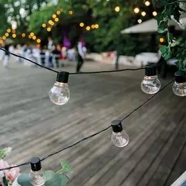 Гирлянда NEON-NIGHT 303-066 5 м, черный ПВХ, 20 LED, теплое белое свечение