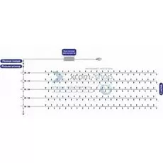 Гирлянда NEON-NIGHT 323-505 LED ClipLight 24V, 5 нитей по 20метров, цвет диодов белый
