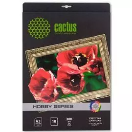 Холст Cactus CS-CA326010 A3/300г/м2/10л./белый для струйной печати