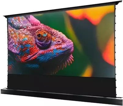 Экран Cactus CS-PSFRCLR-221X125 FloorRising 16:9 напольный рулонный черный (моторизованный)