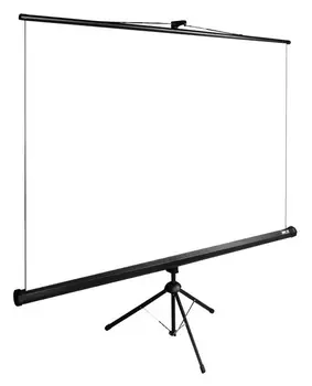 Экран Cactus CS-PSTE-200X200-BK 1:1 напольный рулонный
