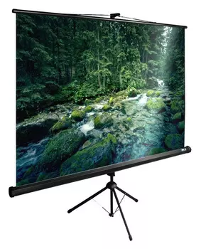 Экран Cactus CS-PSTE-220X165-BK 4:3 напольный рулонный