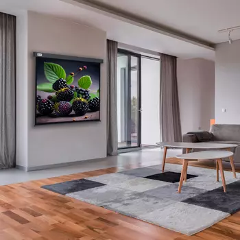 Экран Cactus CS-PSW-127X127-SG 127x127см wallscreen 1:1 настенно-потолочный рулонный серый