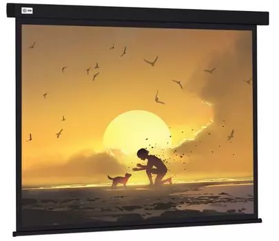 Экран Cactus CS-PSW-150X150-BK Wallscreen 1:1 настенно-потолочный рулонный черный