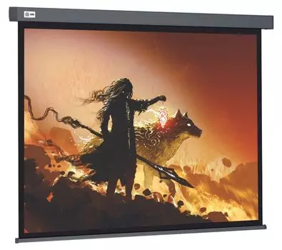 Экран Cactus CS-PSW-213X213-SG 213x213см wallscreen 1:1 настенно-потолочный рулонный серый