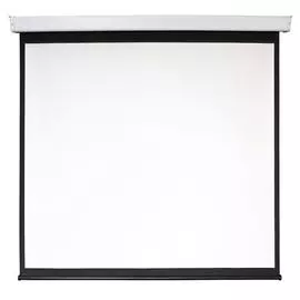 Экран Digis DSEF-1107 Electra-F, 1:1, 118", 219x220, раб поверхность 213x213, MW, с электроприводом