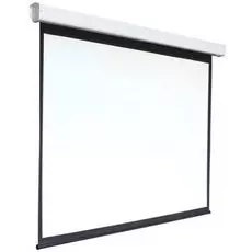 Экран Digis DSEF-4304 Electra-F, формат 4:3, 120", 248x190, раб поверхность 240x180, MW