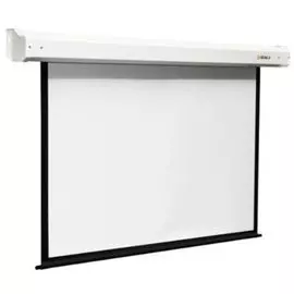 Экран Digis DSEM-4307M настенный, Electra, формат 4:3, 142", 225х300, MW