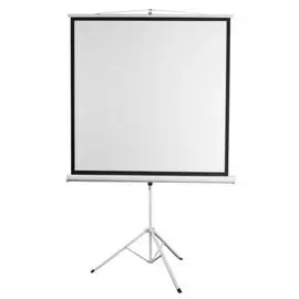 Экран Digis DSKD-1106 Kontur-D, формат 1:1, 112", 206x209, раб поверхность 200x200, MW