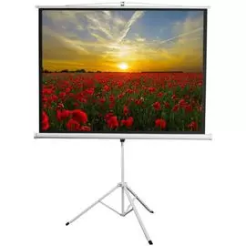 Экран Digis DSKD-4303 Kontur-D, формат 4:3, 100", 206x159, раб поверхность 200x150, MW