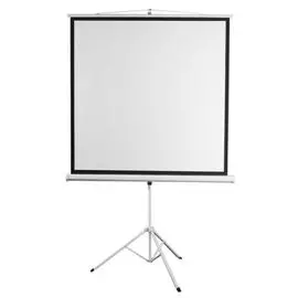 Экран Digis DSKD-4304 Kontur-D, формат 4:3, 120", 248x190, рабочая поверхность 240x180, MW