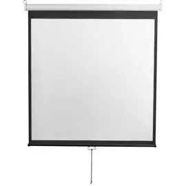 Экран Digis DSOD-16904 Optimal-D, формат 16:9, 100", 227x133, раб поверхность 221x124, MW