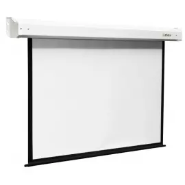 Экран Digis Electra DSEM-161802