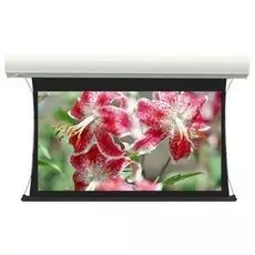 Экран Lumien LCTC-100128