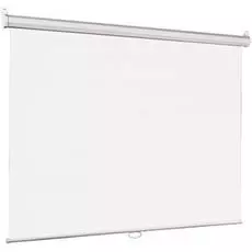 Экран Lumien LEP-100109 Eco Picture 203х203см (рабочая область 195х195 см) Matte White, уровень в комплекте, 1:1 (треугольная упаковка)
