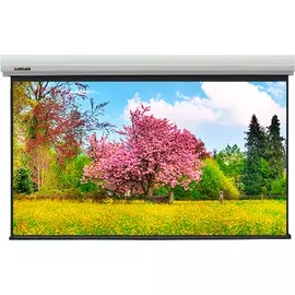 Экран Lumien LMLC-100117A Master Large Control 375х610 см, 272", Matte White FiberGlass, стальной корпус, 16:10, IR и RF управление входит в комплект