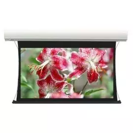 Экран Lumien LСTC-100127