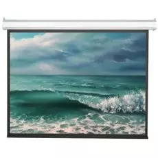 Экран Viewscreen Antis EAN-4303