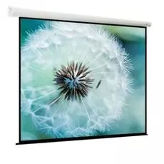 Экран Viewscreen Breston EBR-16108 моторизированный (16:10) 366*274 (358*224) MW