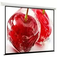 Экран Viewscreen Breston EBR-4305 моторизированный (4:3) 244*183 (236*175) MW