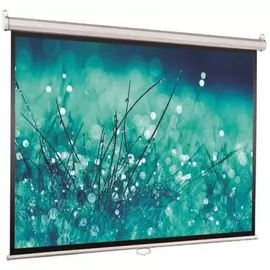 Экран Viewscreen Lotus WLO-16901