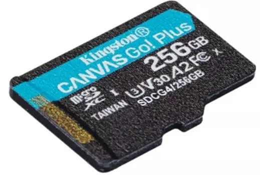 Карта памяти MicroSDXC 256GB Kingston SDCG4/256GBSP Go Plus G4 200R V30