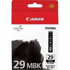 Картридж Canon PGI-29PBK 4869B001 для PIXMA PRO-1 фото черный