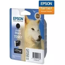 Картридж Epson C13T09614010 для принтера Stylus Pro 2880 (11,1 ml) чёрный