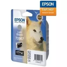 Картридж Epson C13T09674010