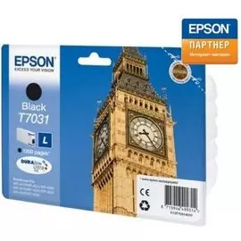 Картридж Epson C13T70314010