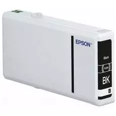 Картридж Epson C13T79114010